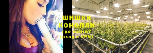 ГАЛЛЮЦИНОГЕННЫЕ ГРИБЫ Верхний Тагил